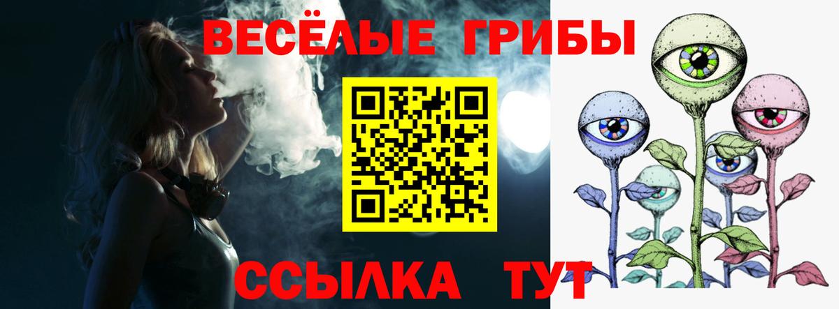 Псилоцибиновые грибы Cubensis Звенигород